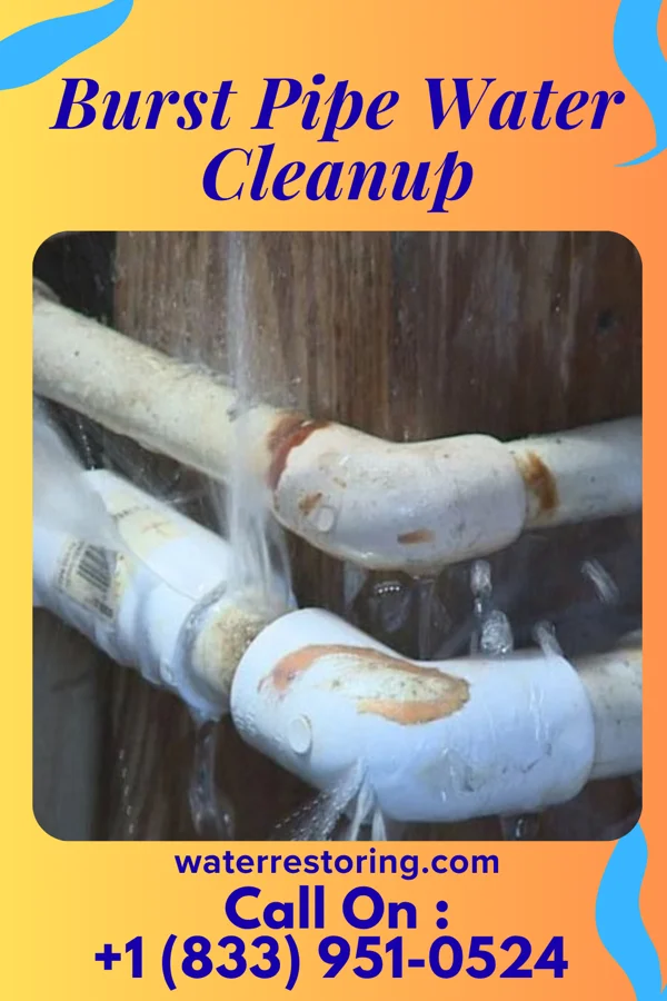 Burst Pipe Water Cleanup in Shippingport, PA