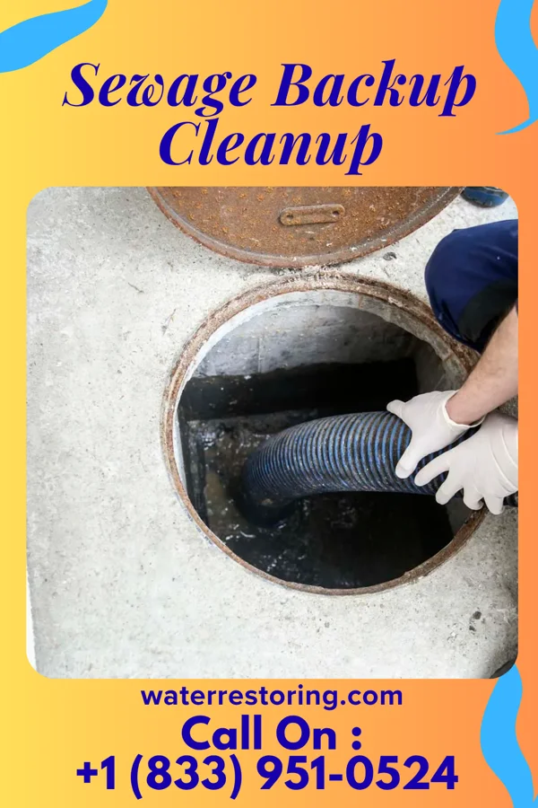 Sewage Backup Cleanup in Shippingport, PA